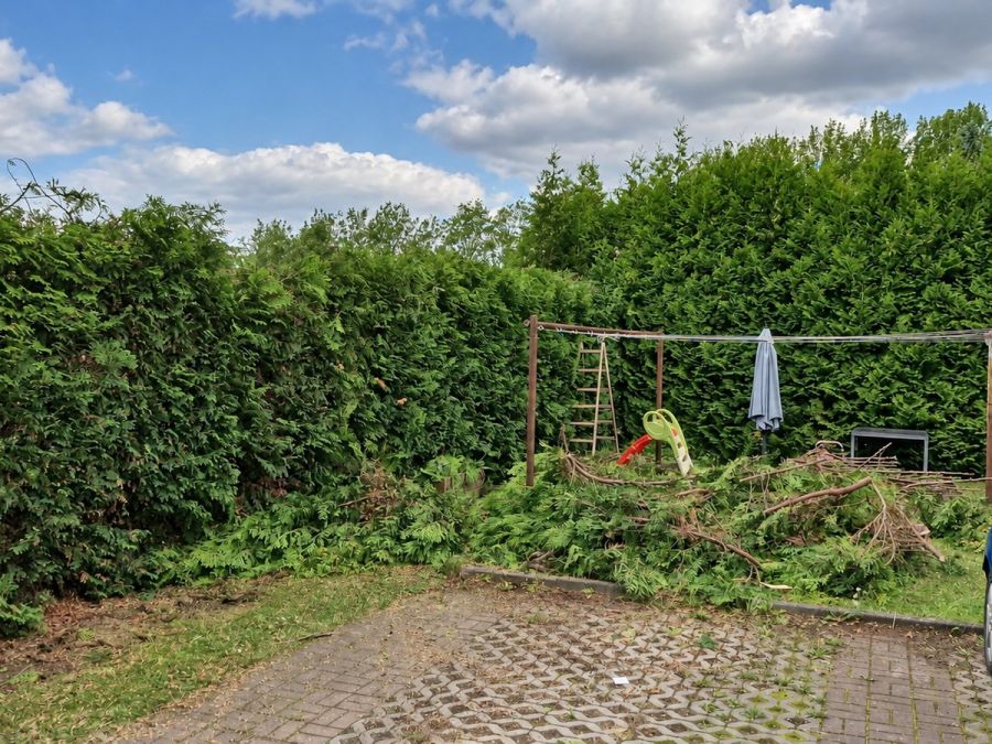 Garten nach dem Rückschnitt